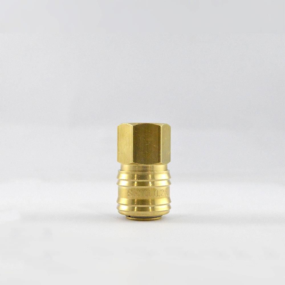 Hava Hortum Dişi Gövde Kamalı 3/8